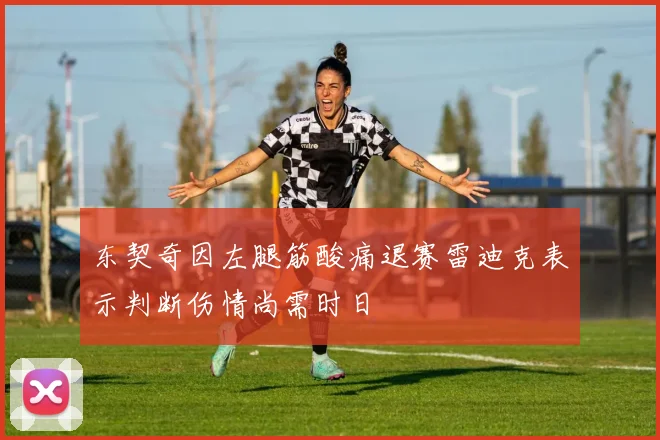 东契奇因左腿筋酸痛退赛雷迪克表示判断伤情尚需时日
